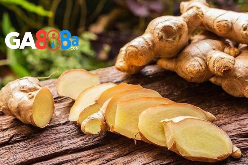 Cách trị gà đá bị khò khè nhẹ với gừng