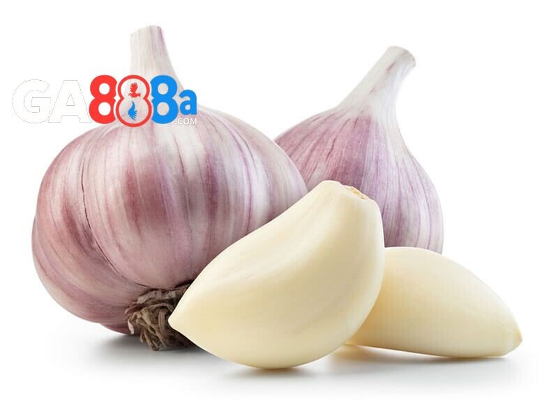 Cách trị gà đá bị khò khè bằng mẹo dân gian