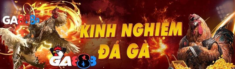GA888 luôn đảm bảo uy tín, chất lượng