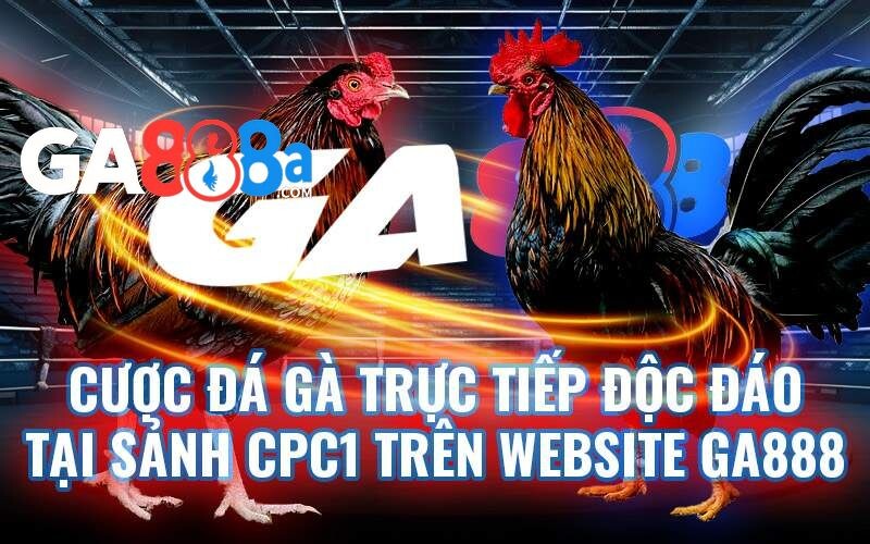 Sảnh đá gà GA888 hàng đầu châu Á