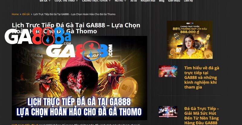 Địa chỉ chơi uy tín