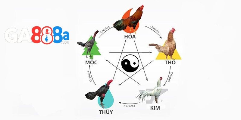 Màu mạng gà đá là gì?