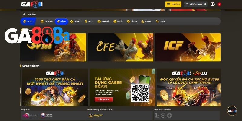 GA888 - địa chỉ cung cấp nhiều trận gà chọi hay