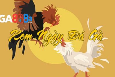 Xem ngày đá gà tốt – Mẹo hay đúc kết từ chuyên gia GA888