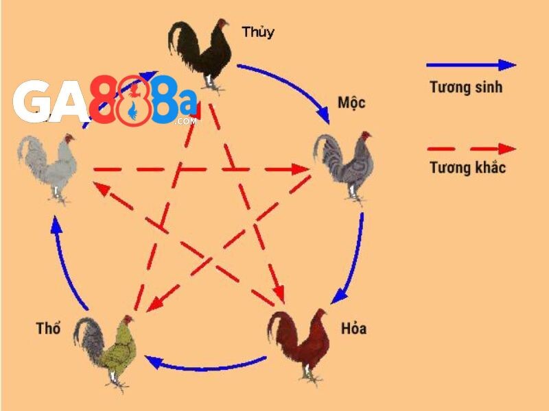 Xem theo phong thuỷ và ngũ hành là điều không thể bỏ qua