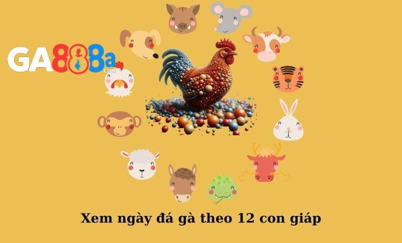 Xem ngày đá gà tốt và hiệu quả theo 12 con giáp