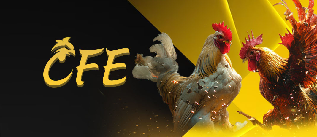 Giới thiệu sảnh cược CFE