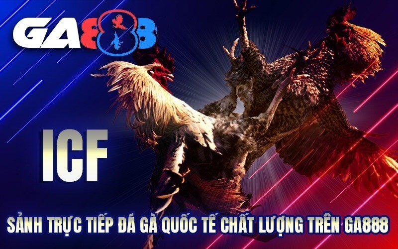 ICF là sảnh đá gà nổi tiếng trên thị trường